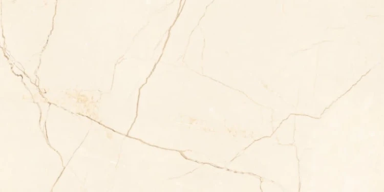 22f5ad119aeb106b6d42e7199120bacf